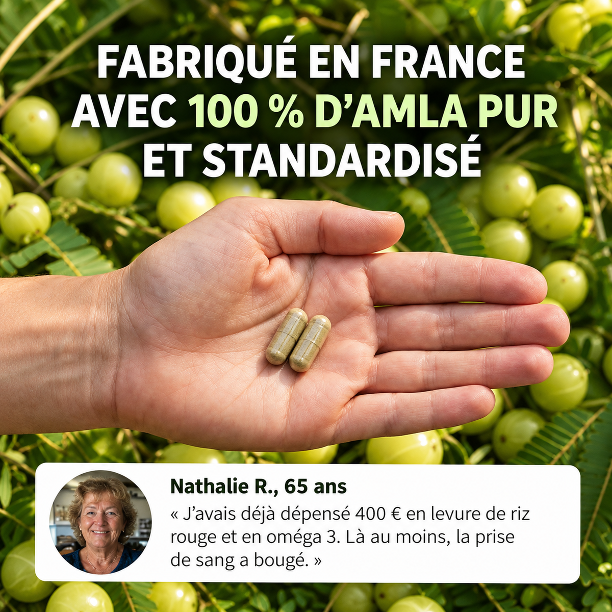 Gélules d'Amla Superfruit