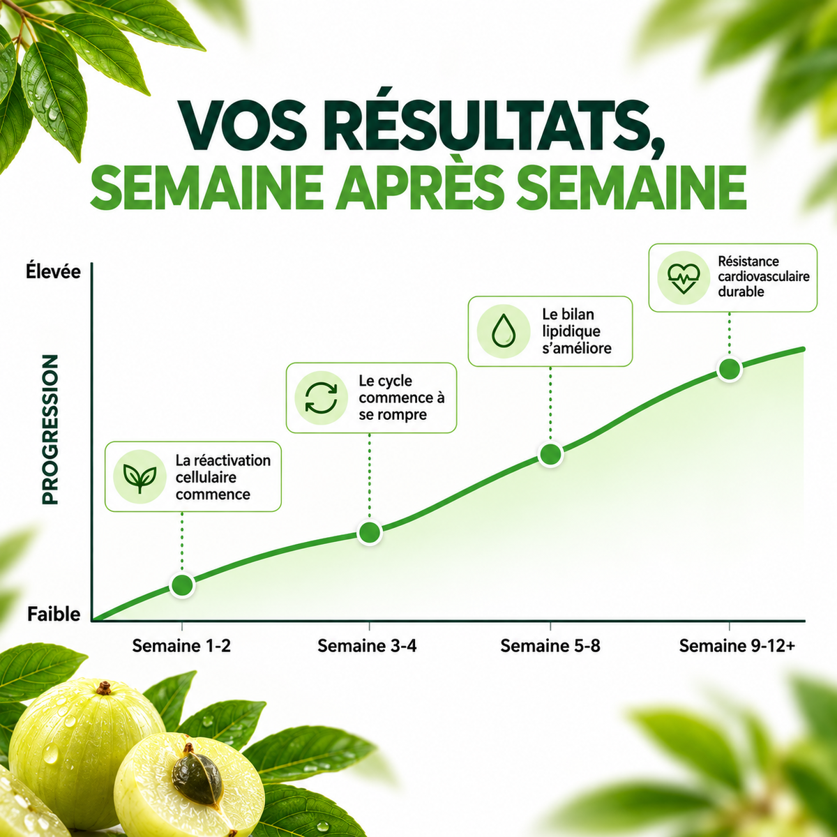 Gélules d'Amla Superfruit