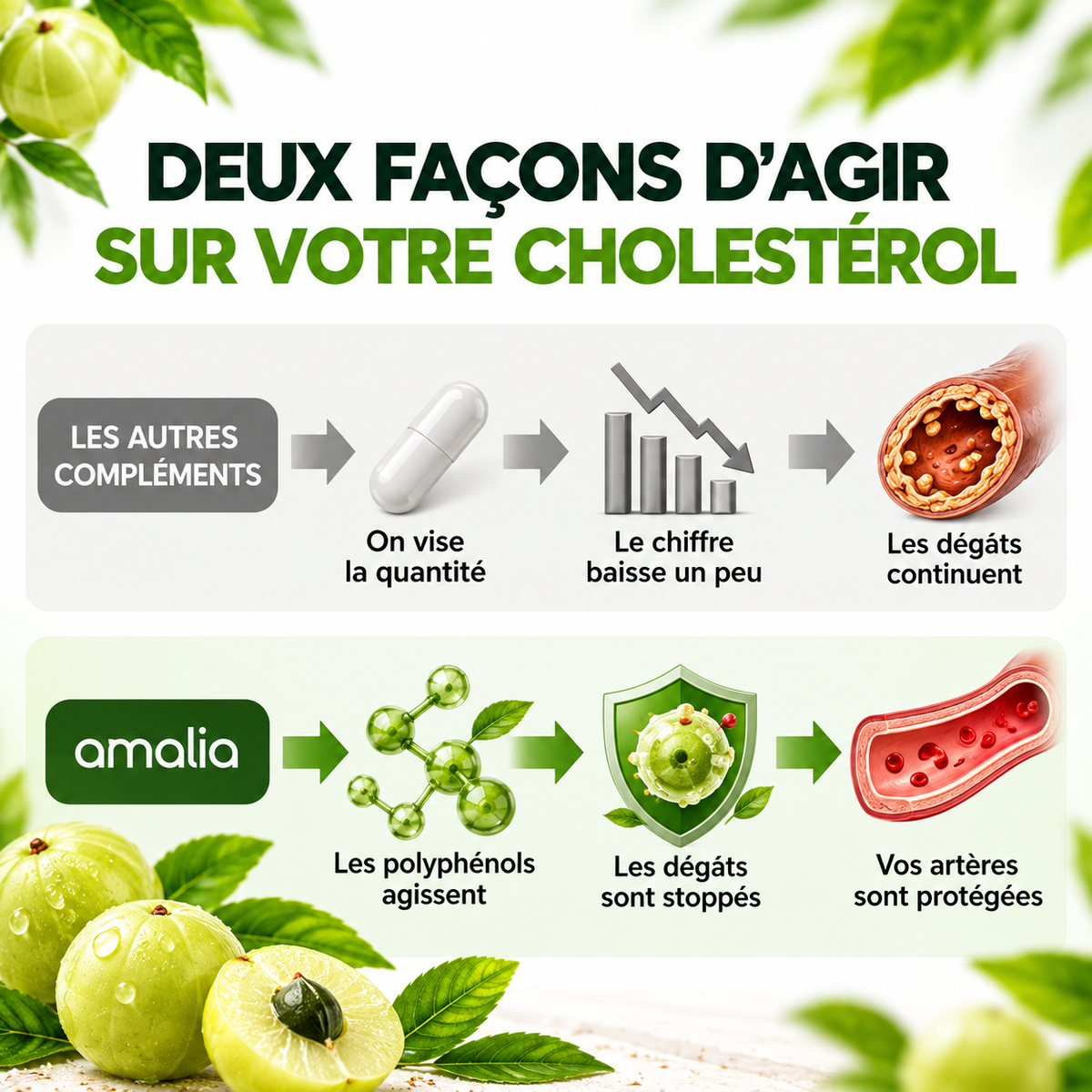 Gélules d'Amla Superfruit